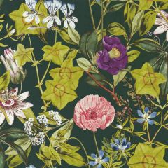 Clarke and Clarke Passiflora Emerald Wp 014302 Exotica 2 Luxury Wallcovering Collection Wall Covering