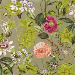 Clarke and Clarke Passiflora Mulberry / Gilver Wp 014303 Exotica 2 Luxury Wallcovering Collection Wall Covering