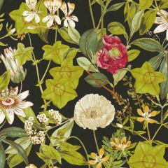 Clarke and Clarke Passiflora Noir Wp 014304 Exotica 2 Luxury Wallcovering Collection Wall Covering