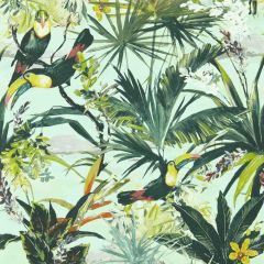 Clarke and Clarke Toucan Sky Wp 014603 Exotica 2 Luxury Wallcovering Collection Wall Covering