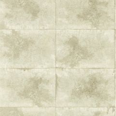 Clarke and Clarke Igneous Champagne Wp 015102 Fusion Luxury Wallcovering Collection Wall Covering
