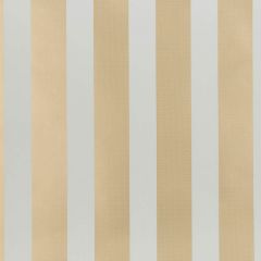 Kravet Design Dot Stripe Gold W3322-4 by Kate Spade Whimsies Collection Wall Covering