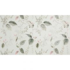 Kravet Design Owlish Blush W3331-11 by Kate Spade Whimsies Collection Wall Covering