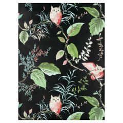 Kravet Design Owlish Black W3331-819 by Kate Spade Whimsies Collection Wall Covering