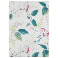Kravet Design Owlish Multi W3331-911 by Kate Spade Whimsies Collection Wall Covering