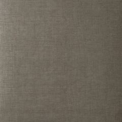 Kravet Couture Muse Silt 3576-106 Linherr Hollingsworth Boheme II Collection Wall Covering