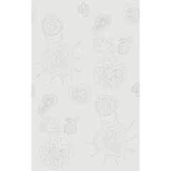 Kravet Couture Telescopic P Mercury 3585-1 Paperscape Artist Series Collection Wall Covering