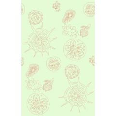 Kravet Couture Telescopic P Coral Sea 3585-319 Paperscape Artist Series Collection Wall Covering