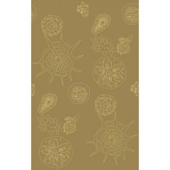 Kravet Couture Telescopic P Sanddollar 3585-616 Paperscape Artist Series Collection Wall Covering