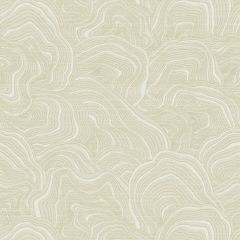 Kravet Design W 3719-116 Ronald Redding Collection Wall Covering