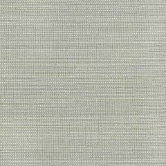 Kravet Couture Luxe Sisal Grey 3830-11 Modern Luxe Wallcovering Collection Wall Covering