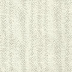 Kravet Design W 3872-1 by Candice Olson After Eight Collection Wall Covering