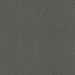 Kravet Design W 3872-52 by Candice Olson After Eight Collection Wall Covering