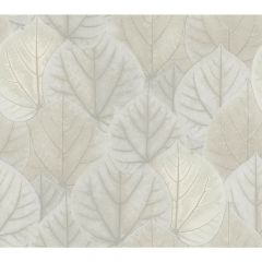 Kravet Design W 3880-1101 by Candice Olson Modern Nature 2nd Edition Collection Wall Covering