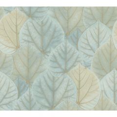 Kravet Design W 3880-30 by Candice Olson Modern Nature 2nd Edition Collection Wall Covering