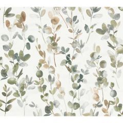 Kravet Design W 3883-323 by Candice Olson Modern Nature 2nd Edition Collection Wall Covering