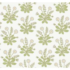 Kravet Design 3928-303 Ronald Redding Arts and Crafts Collection Wall Covering