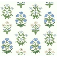 Kravet Design W 3942-315 Rifle Paper Co Second Edition Collection Wall Covering
