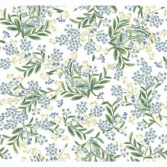Kravet Design W 3948-153 Rifle Paper Co Second Edition Collection Wall Covering