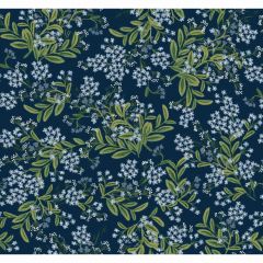 Kravet Design W 3948-350 Rifle Paper Co Second Edition Collection Wall Covering
