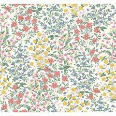 Kravet Design W 3950-514 Rifle Paper Co Second Edition Collection Wall Covering