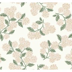 Kravet Design W 3952-117 Rifle Paper Co Second Edition Collection Wall Covering