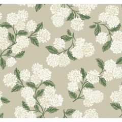 Kravet Design W 3952-31 Rifle Paper Co Second Edition Collection Wall Covering