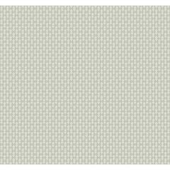 Kravet Design W 3953-1101 Rifle Paper Co Second Edition Collection Wall Covering