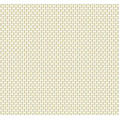 Kravet Design W 3953-4 Rifle Paper Co Second Edition Collection Wall Covering