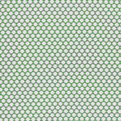 Thibaut Bijou Green W775452 Dynasty Collection Multipurpose Fabric