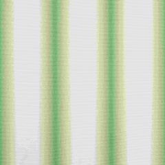 Thibaut Stockton Stripe Green W775495 Dynasty Collection Multipurpose Fabric