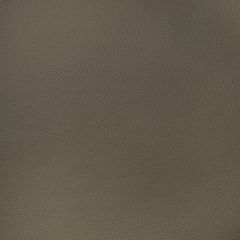 Thibaut Arcata Hickory W78396 Sierra Collection Upholstery Fabric