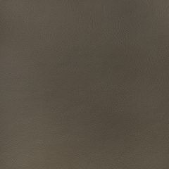 Thibaut Arcata Bark W78397 Sierra Collection Upholstery Fabric