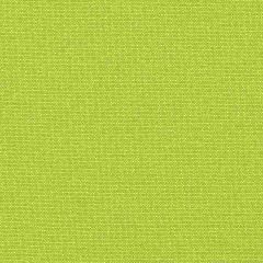 Thibaut Emery Spring Green W80226 Kaleidoscope Collection Indoor Upholstery Fabric