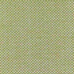 Thibaut Palmetto Straw W80230 Kaleidoscope Collection Indoor Upholstery Fabric