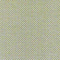 Thibaut Palmetto Aqua W80231 Kaleidoscope Collection Indoor Upholstery Fabric