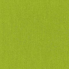 Thibaut Horizon Herringbone Spring Green W80292 Kaleidoscope Collection Indoor Upholstery Fabric