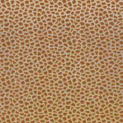 Thibaut Masai Terracotta W80424 Indoor Upholstery Fabric