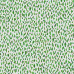 Thibaut Citra Grass W80456 Indoor Upholstery Fabric