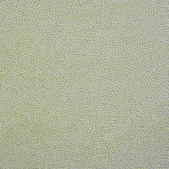 Thibaut Kali Flax W80516 Mosaic Collection Indoor Upholstery Fabric