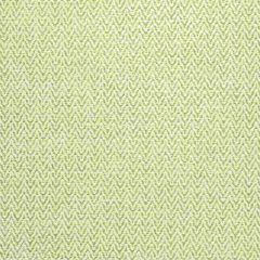 Thibaut Beatrix Green Apple W80600 Pinnacle Collection Indoor Upholstery Fabric