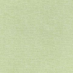 Thibaut Finley Willow W81609 Locale Collection Upholstery Fabric