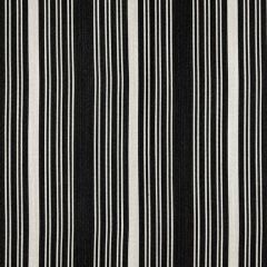 Thibaut Kaia Stripe Onyx W8537 Villa Collection Upholstery Fabric