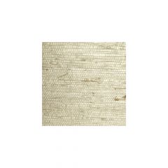 Winfield Thybony Grasscloth Wbgp Wbg5130p-Wt Plains Collection Wall Covering