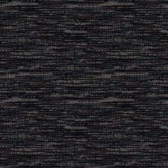 Mayer Curator Onyx WC921-026 Crypton Curator Collection Indoor Upholstery Fabric