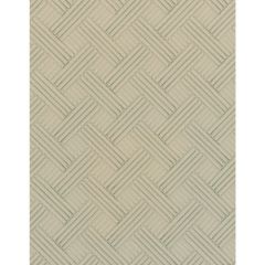 Winfield Thybony Eason Optic White 2216 Collection Wall Covering