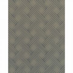 Winfield Thybony Eason Graphite 2222 Collection Wall Covering