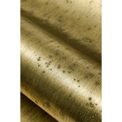Winfield Thybony Aurora Aged Brass 2308 Collection Wall Covering
