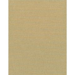 Winfield Thybony Elza Olympus 2341 Collection Wall Covering