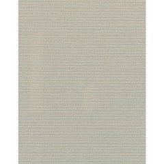 Winfield Thybony Elza Alabaster 2343 Collection Wall Covering